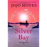 کتاب Silver Bay
